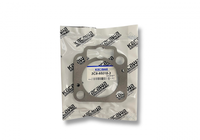 Water Pump Gasket - Top (1)